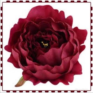 Meet your Posher, Christy